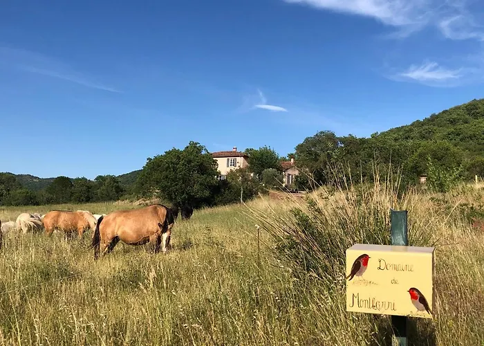 Domaine De Montbarri Bed & Breakfast